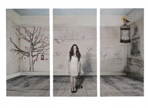 Elisa_AnfusoL'abito-trittico della libertà 2011 50x70 cm