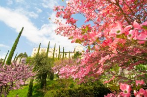 La_primavera_ai_Giardini_di_Sissi