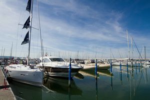 tn_IMG_1957