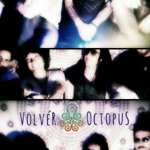 octopus velver