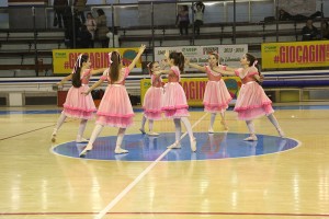 Alessandria giocagin - sport vari,disabilità- sport disabili