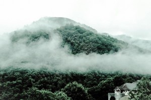 FOTO1
