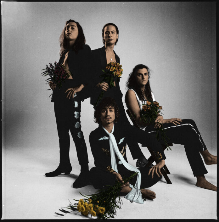 Greta Van Fleet - ph AlysseGafkjen