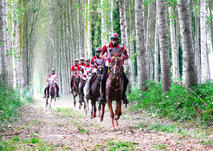 Quotidiano online Dietro La Notizia