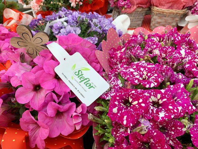 Quotidiano online Dietro La Notizia