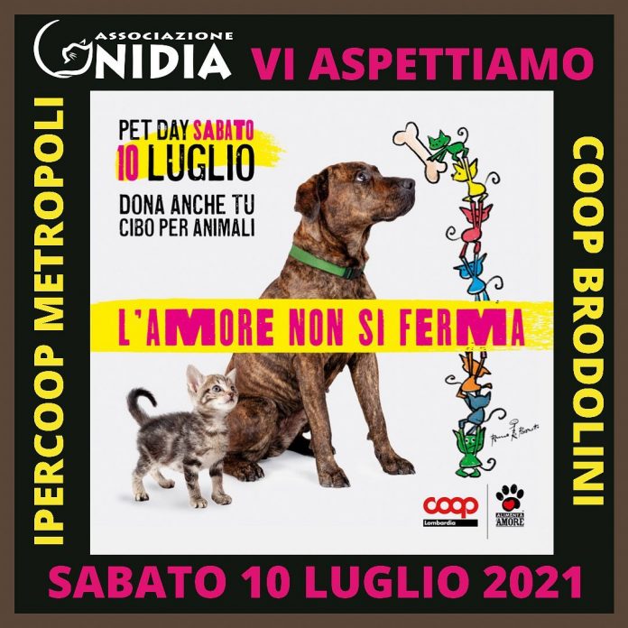Quotidiano online
