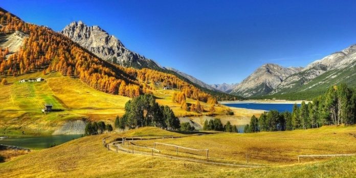 Quotidiano online Dietro La Notizia