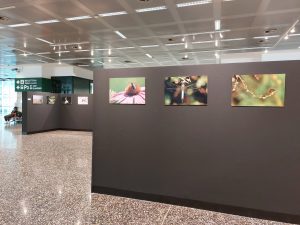 Quotidiano online