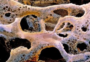 Quotidiano online Dietro La Notizia