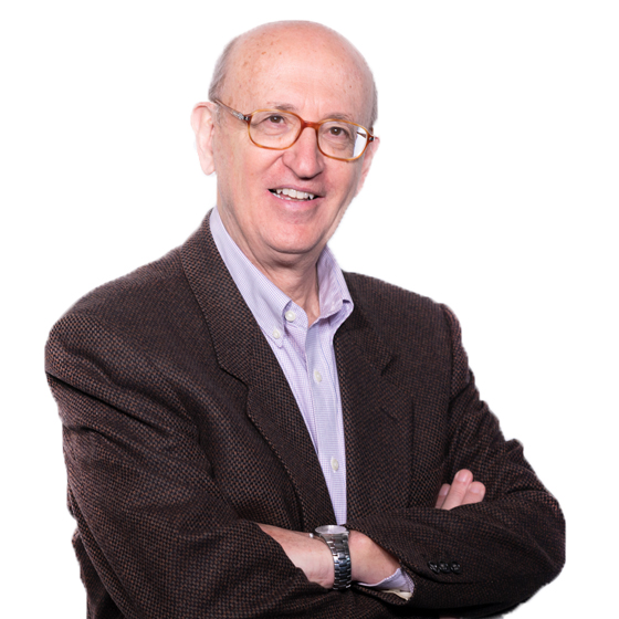 roberto d'alimonte