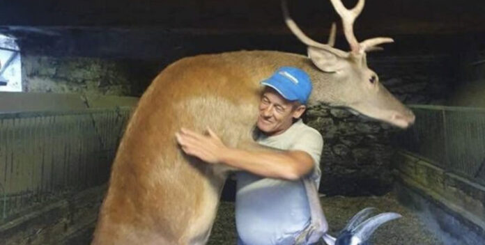 Giovanni_Dal_Zoppo_con-_Bambi