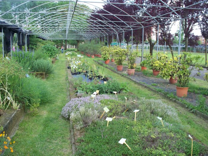 Museo_Botanico_Aurelia_Josz