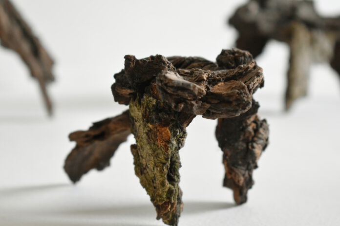 Rebecca Ganima Michelini, Golem (dormienti), 2022