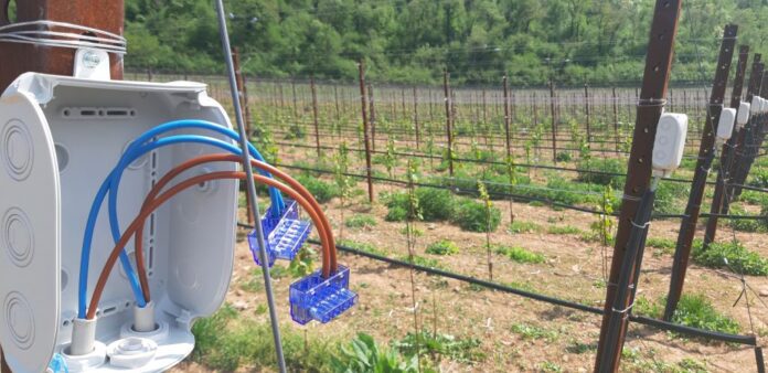 vigneto smart