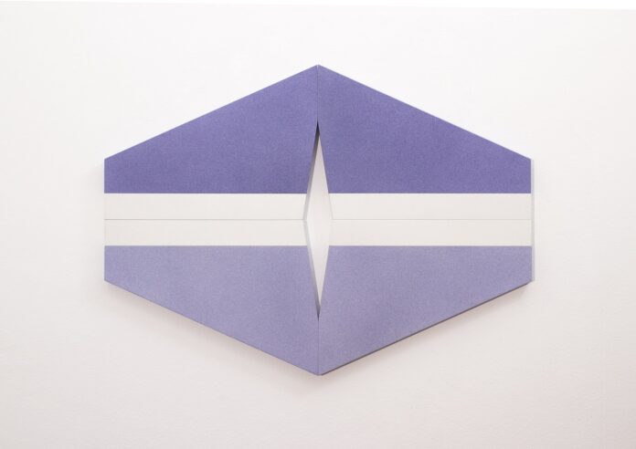 Nicoletta Borroni, Linea chiara su campo viola 1, 2022