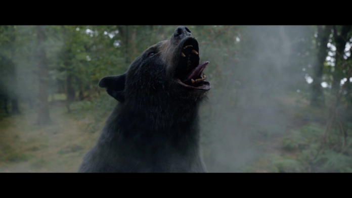 Cocaine_bear_inala_ingerisce_cocaina