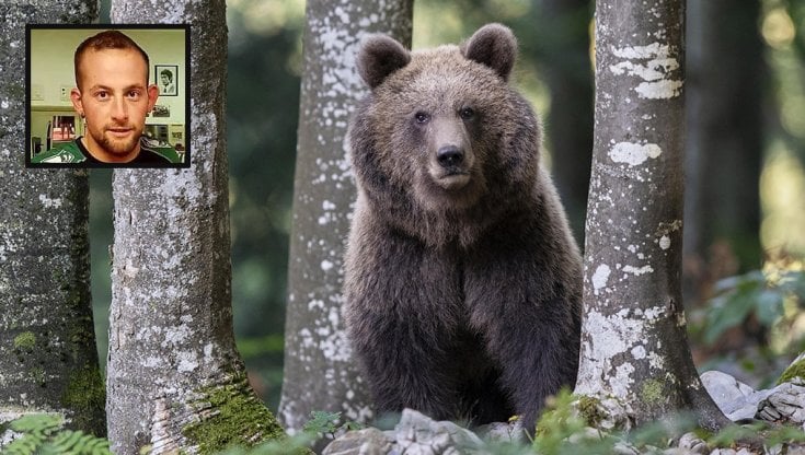 runner_ucciso_da_orso