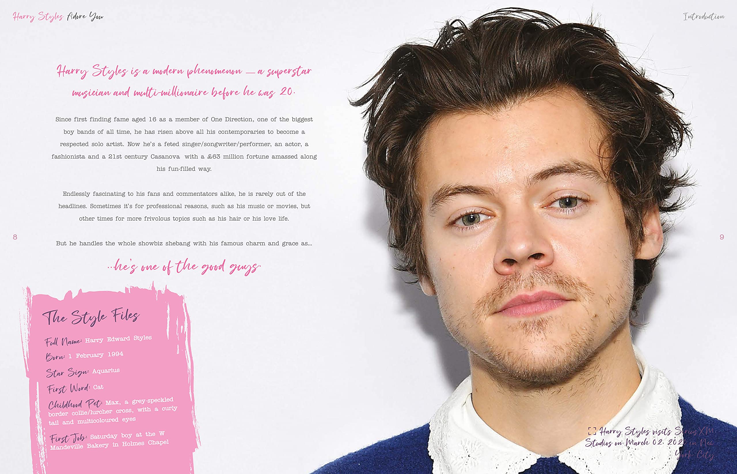 harry_styles_adore_you