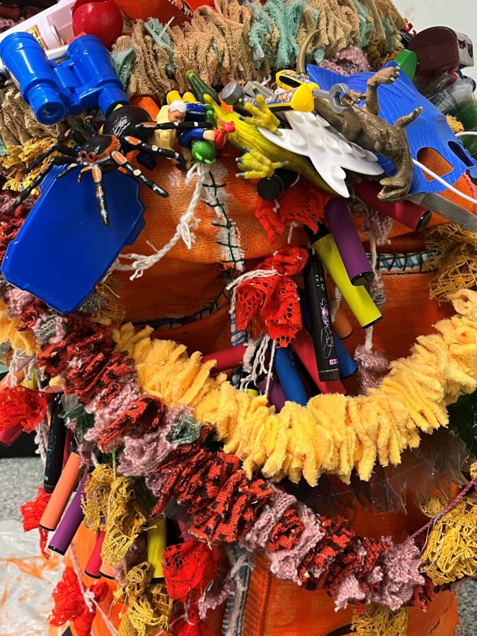 immunità_diplomatica_Pedro_Wirz