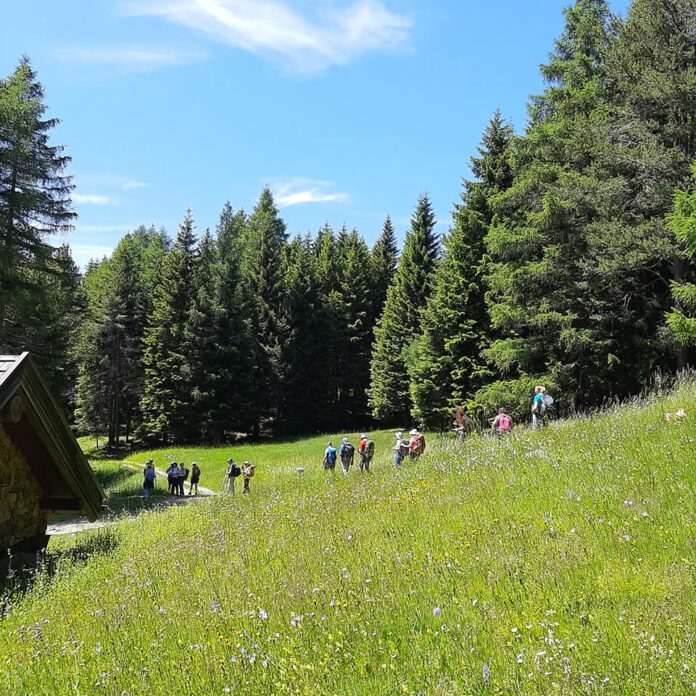 In cammino nei Parchi