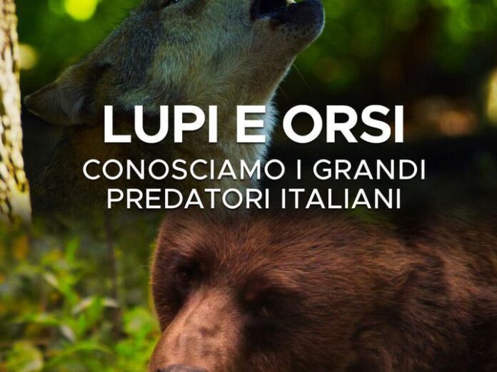 lupi_e_orsi