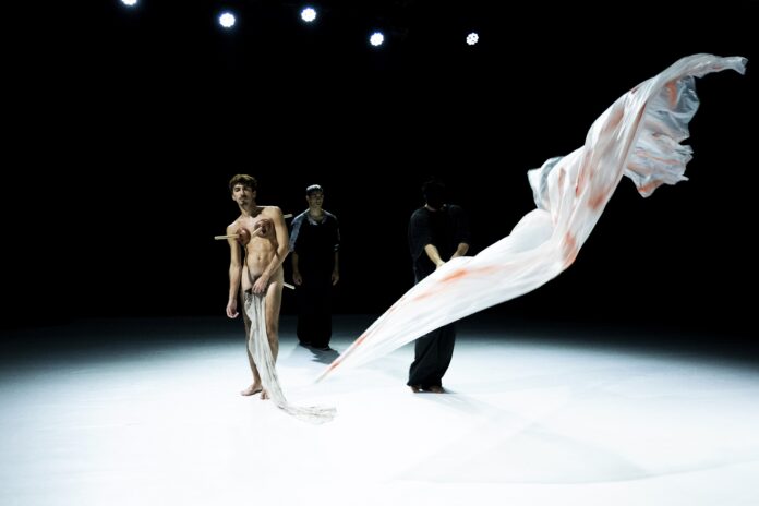 Salerno Danza Festival