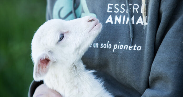 essere_animali_