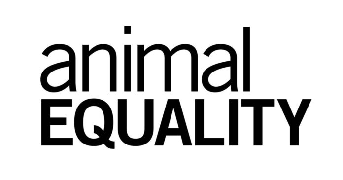 animal_equality_