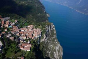 Tremosine 