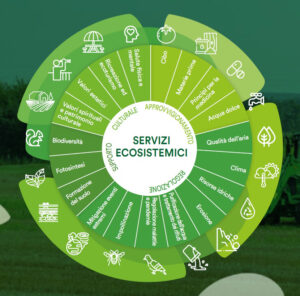 servizi-eco