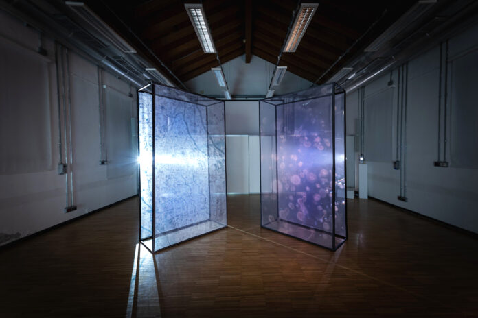 NABAxYakul_Bacteriart3_Alessandra Redondi