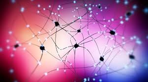 neuroscienze