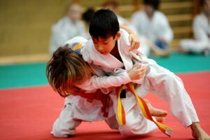 judo