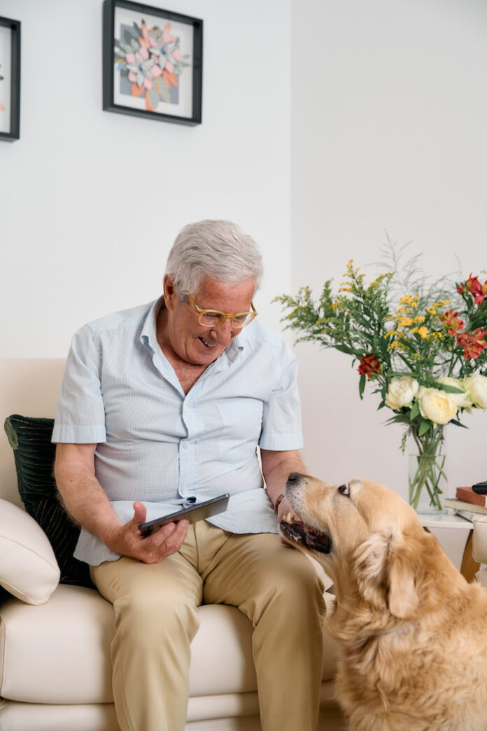 Giornata_mondiale_del_cane_Over_