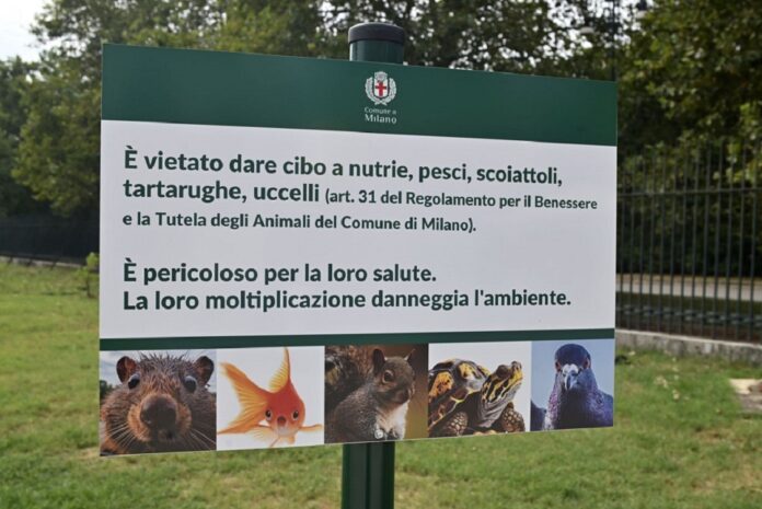 Vietato_nutrire_scoiattoli_pesci_anatre_e_piccioni_a_Milano