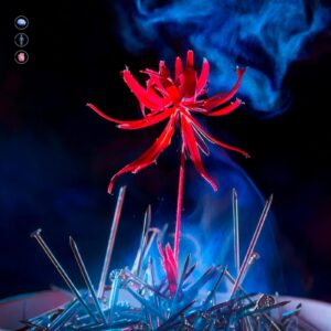 JELECROIS_Fiori nel cemento_Cover