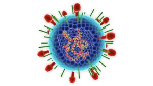Virus Respiratorio Sinciziale
