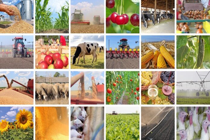 Agricoltura