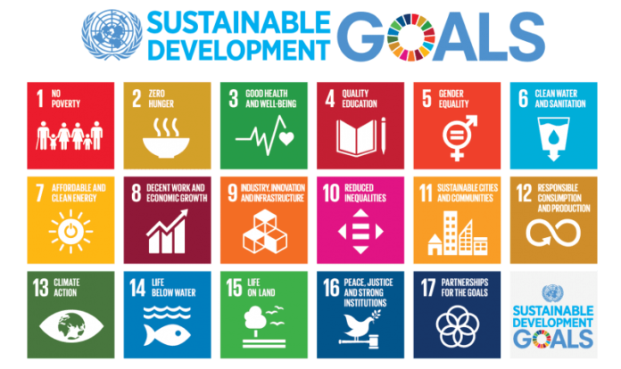 sustainable-development-goals-ONU
