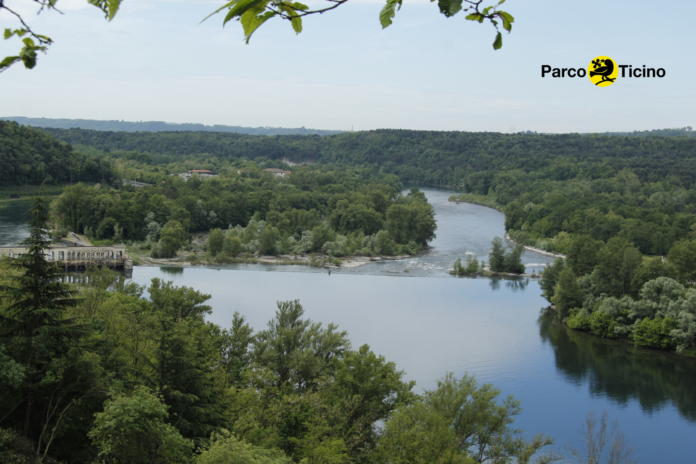 parco-ticino