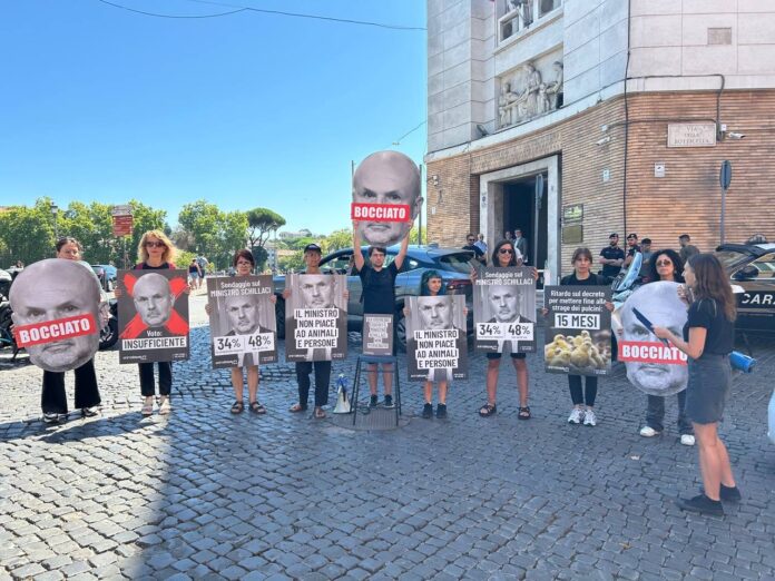 protesta-di-animal-equaliy