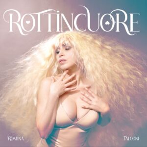 Cover vinile