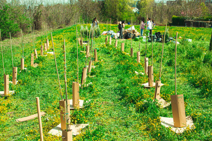 kilometroverde-parma- bosco-area-7