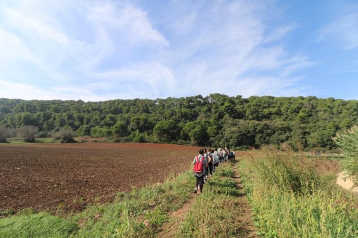 Donne in cammino trekking