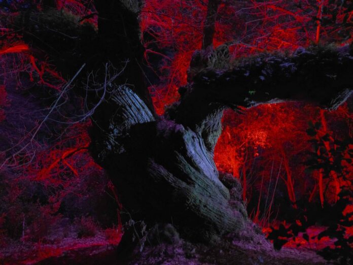 Gianluca Lanciai_Timeland_GFX Challenge Grant Program 2024