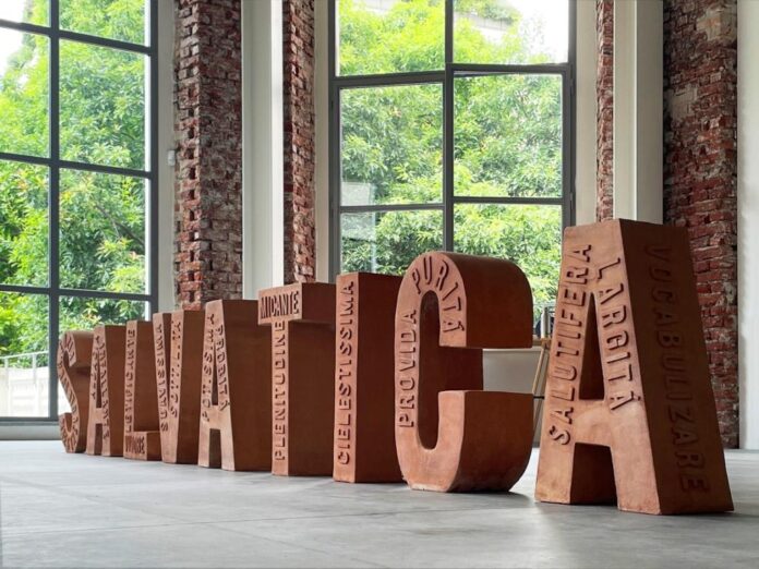Sabrina DAlessandro_URPS, Salvatica, Installation View Casa degli Artisti