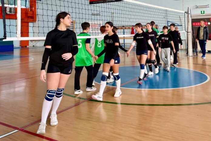 volley-bachelet