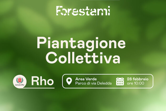 rho-piantumazione-alberi