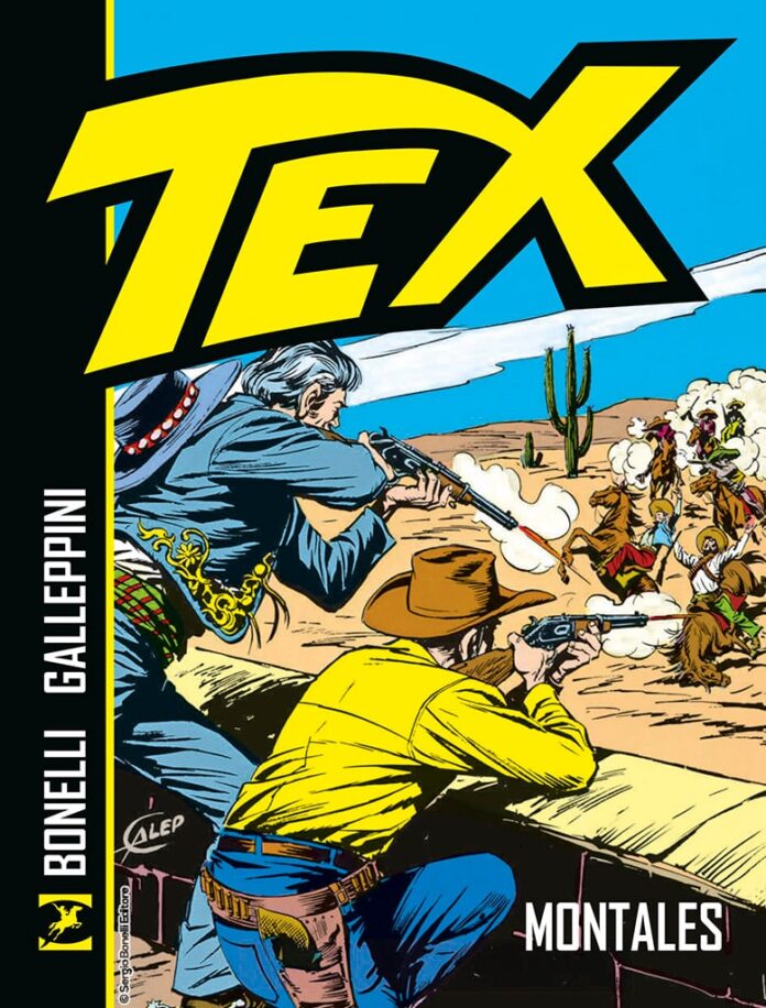 cover-