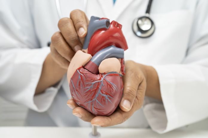 rischio-cardiovascolare-Canva.